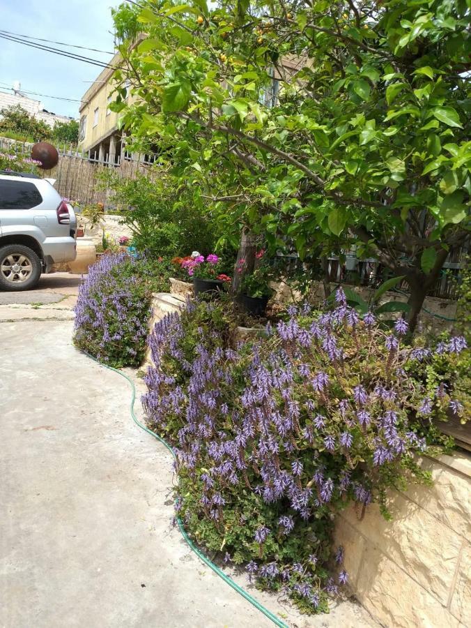 Apartament Valentine House Deir Hanna Zewnętrze zdjęcie
